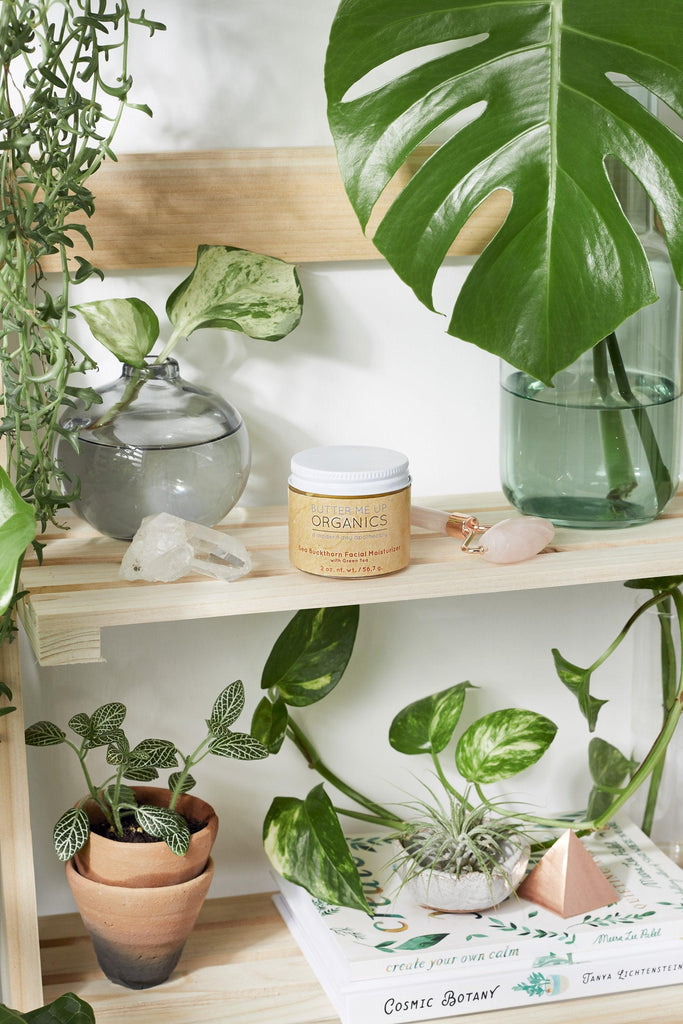 Sea Buckthorn Organic Facial Moisturizer - Life In Alignment