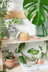 Sea Buckthorn Organic Facial Moisturizer