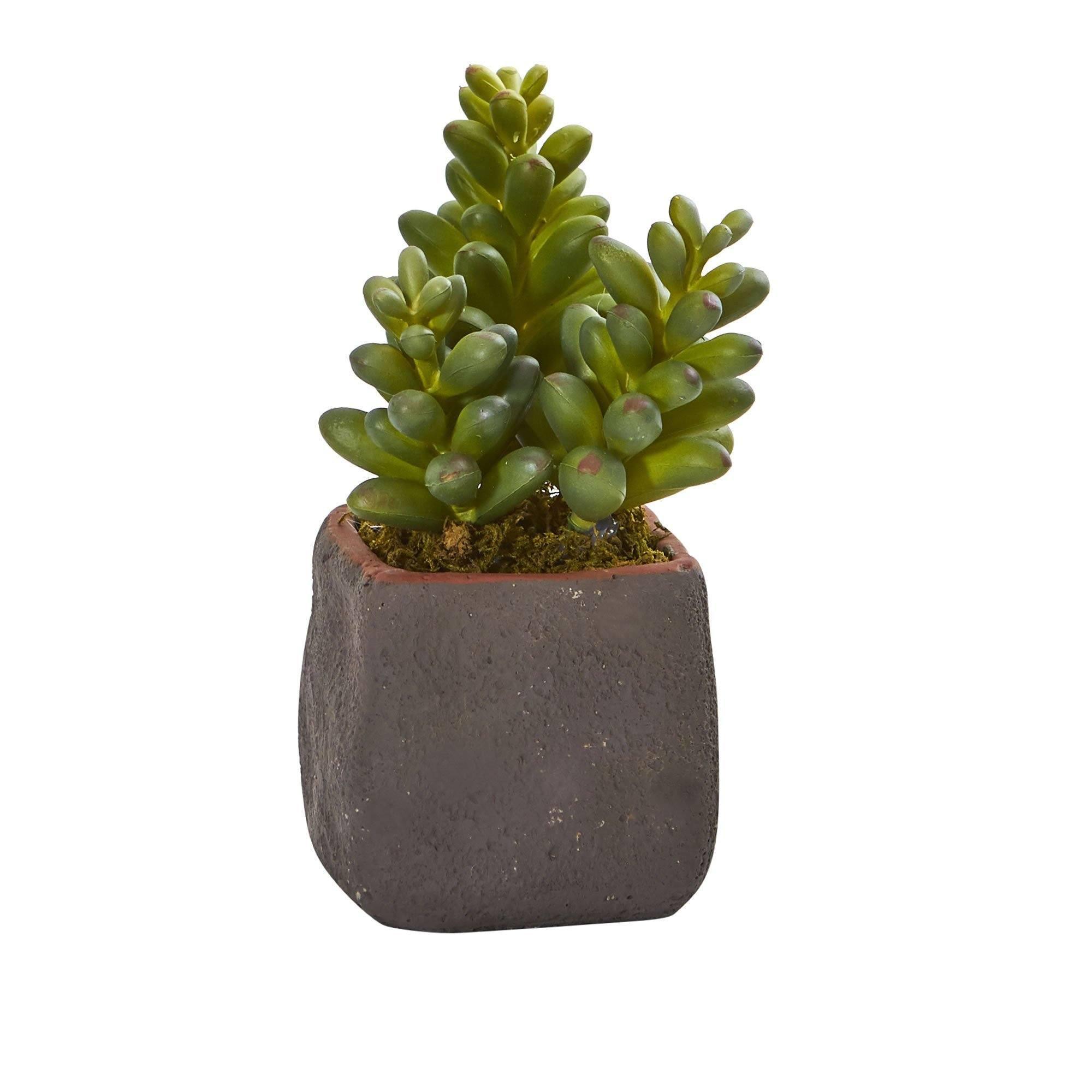 ethically sourced Mixed Succulent Trio Artificial Plant - Set of 3 Life In Alignment